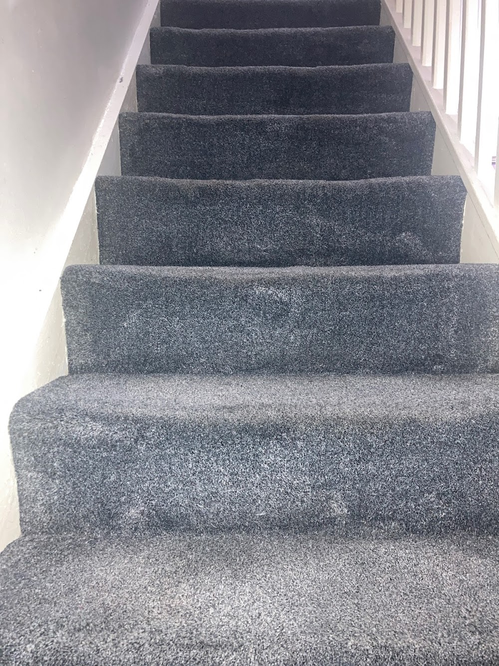 Forevershine Carpet Cleaners Services