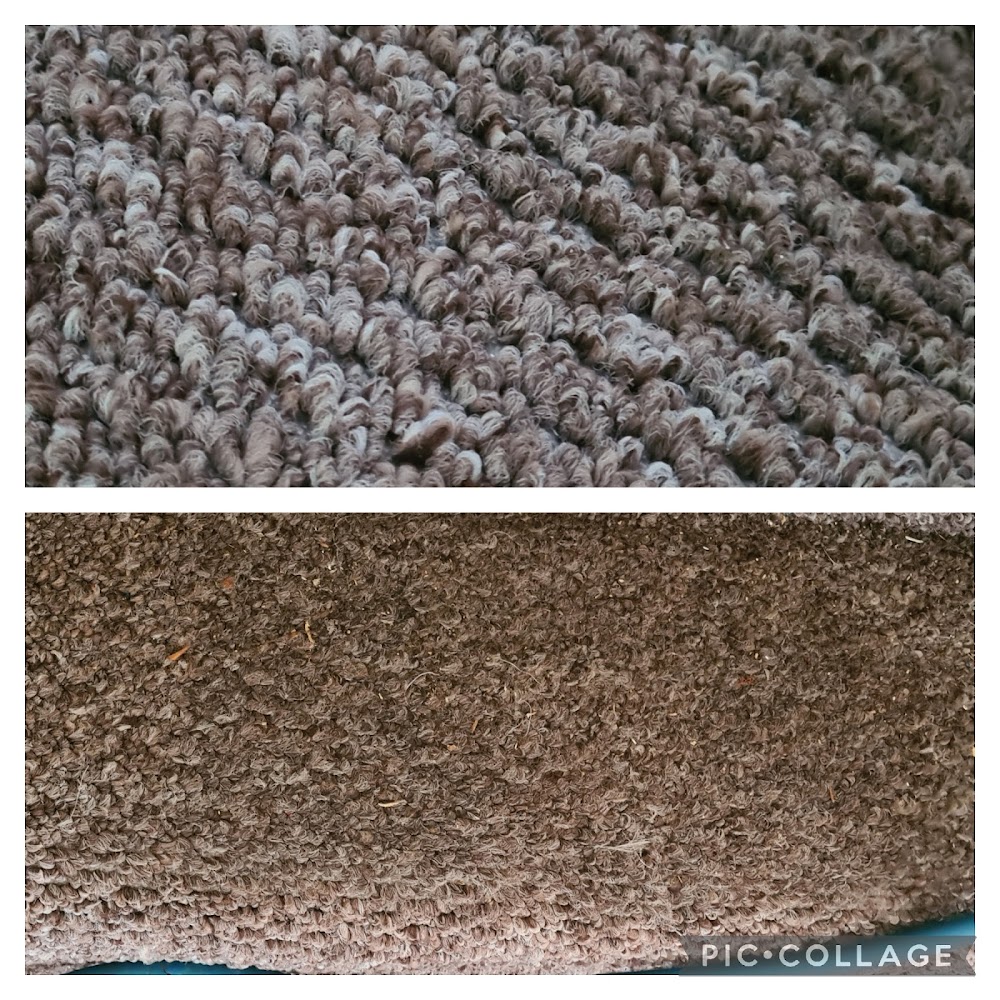 Paul Anderson Carpet and Upholstery Cleaning