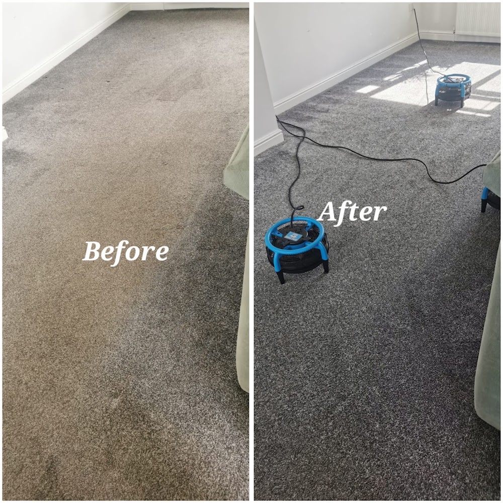 The Carpet Man Wigan Ltd professional deep cleaning carpet technician